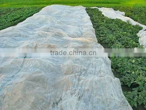 PP Agriculture Non-woven Crop Cover Supplier photo-3