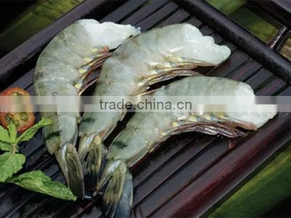 Frozen Black Tiger Shrimp