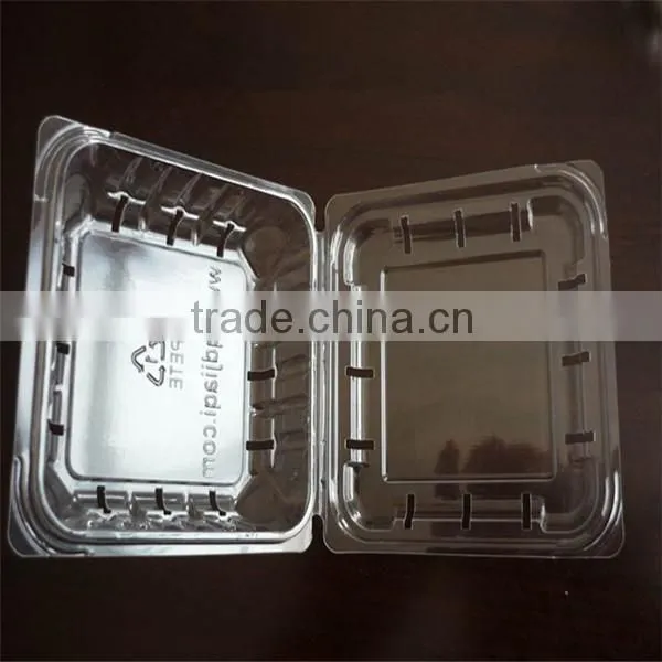 Blueberry Plastic Fruit Container photo-3