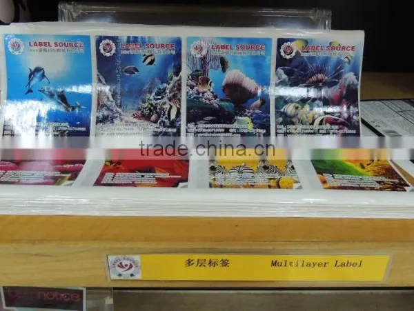Multilayer Label Printing Machine(8 Colors) photo-6