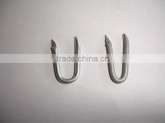 Barbed U-shape Nails/Square Bottom U Shaped Nail (ISO9001) Quality Choice photo-2