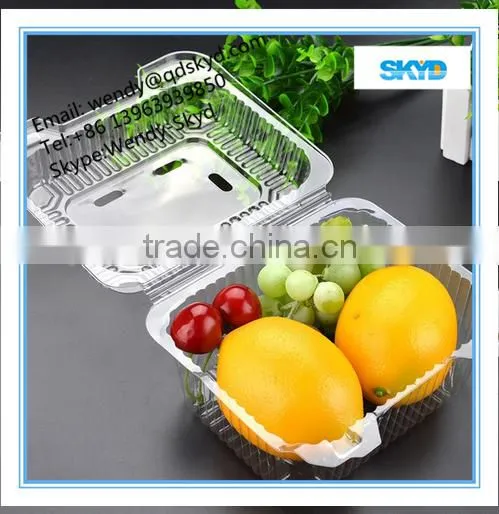 Fruit PET Blister Plastic Packaging photo-2