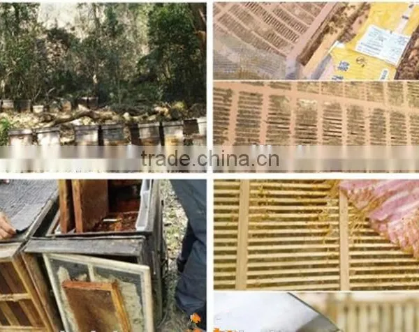 100% Pure Propolis/high Quality Bee Propolis photo-6