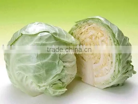 cabbage
