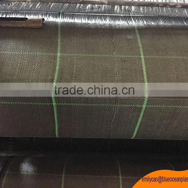 Mulching Film Anti Grass Cloth Ground Cover Control Weed Net photo-5