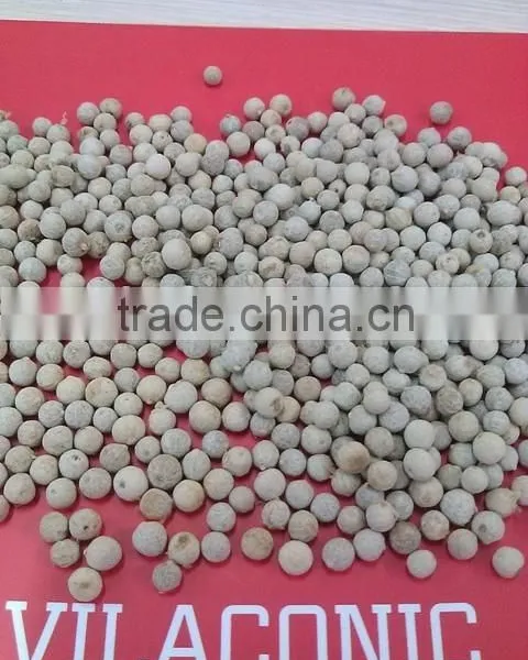 High Quality Black Pepper 500g/l-550g/l-580g/l FAQ (Email: Julia.vilaconic@gmail.com) photo-3