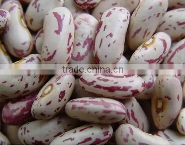 Kidney Beans photo-2