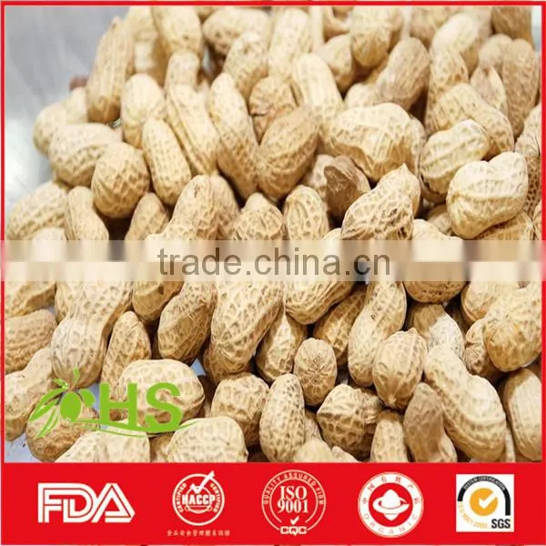 Supply New Crop and High Quality Peanut Kernels photo-6