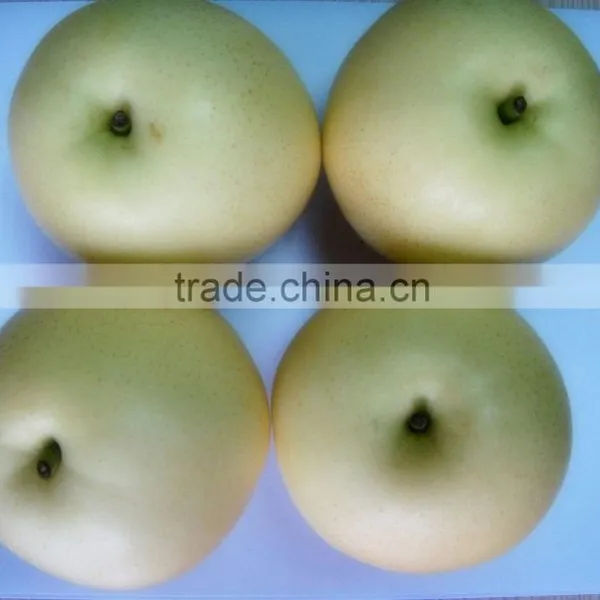 Nice Difference Specification of Crown Pear in China photo-3