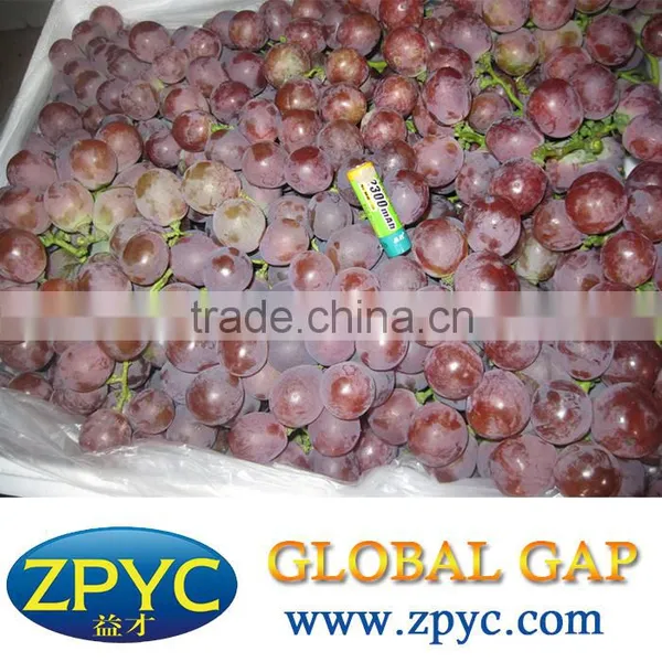 Chinese Grapes Price