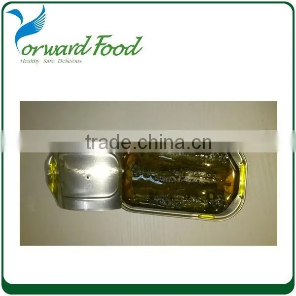 Canning Sardines China Sardine photo-2