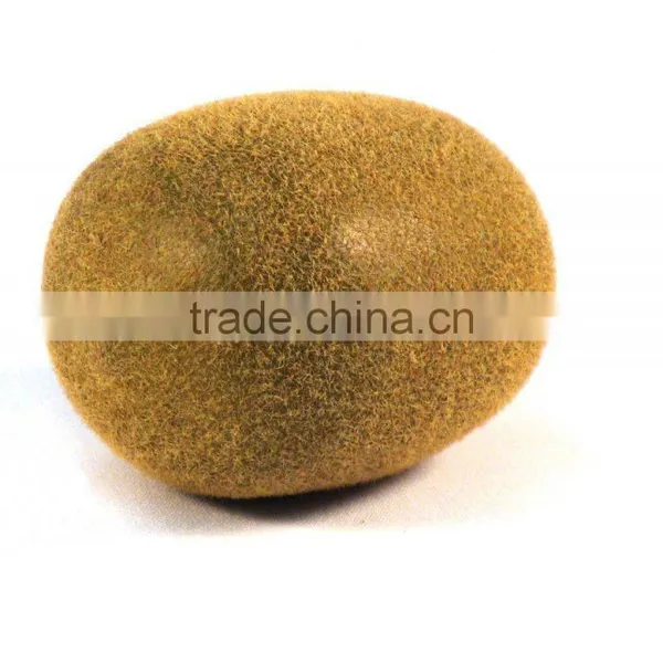 Silk Plants Direct Kiwi Fruit Artificial Fruits Fake Kiwi Artificial Kiwi