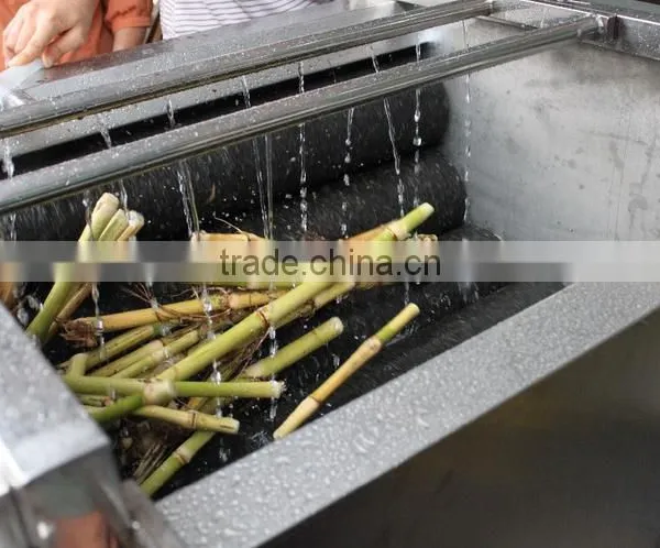 MSTP-80 Automatic Ginger Peeler,shallot Peeling Machine ,fish Skin Removing Machine With Stainless Steel CE Approved photo-5
