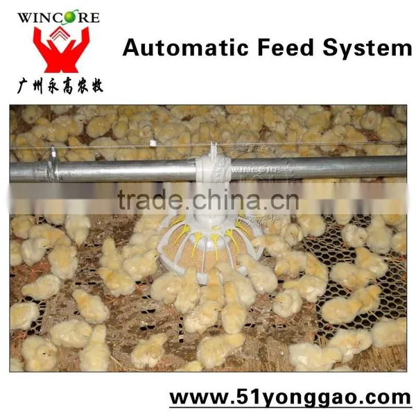 Automatic Poultry Pan Feeding System for Broiler Farm Equipment photo-3