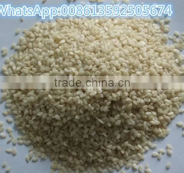 Best Selling High Quality Peanut Oil Press Machine / Oil Press Machine for Low Peice photo-4
