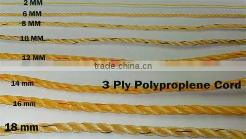 Many Size Braided Polypropylene Poly Rope 100% Sailing Yacht Boat PP Line Cord