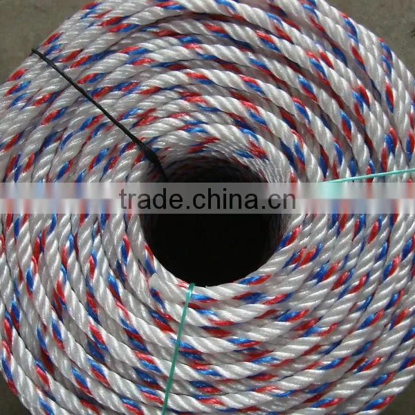 China Professional Leading Manufacturer PP Rope photo-4