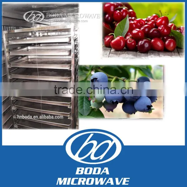 Food Grade Stainless Steel Dryer Hot Air Convection Oven Vegetable and Fruit Drying Equipment photo-4