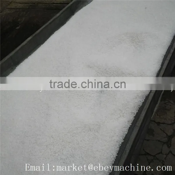 Plastic Bottle Chip Machine Japan Pellet Recycling Extruder photo-5