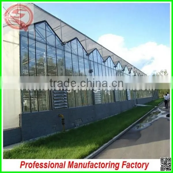 Agriculture Farm 12m Hydroponic Glass Greenhouse Grow Tent for Vegetables