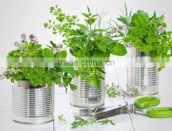 Galvanized Herb Planter | Galvanized Hanging Metal Flower Planters for Home photo-2