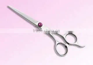 Hair Scissors