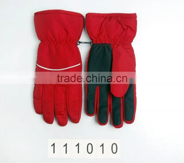 Ski Glove