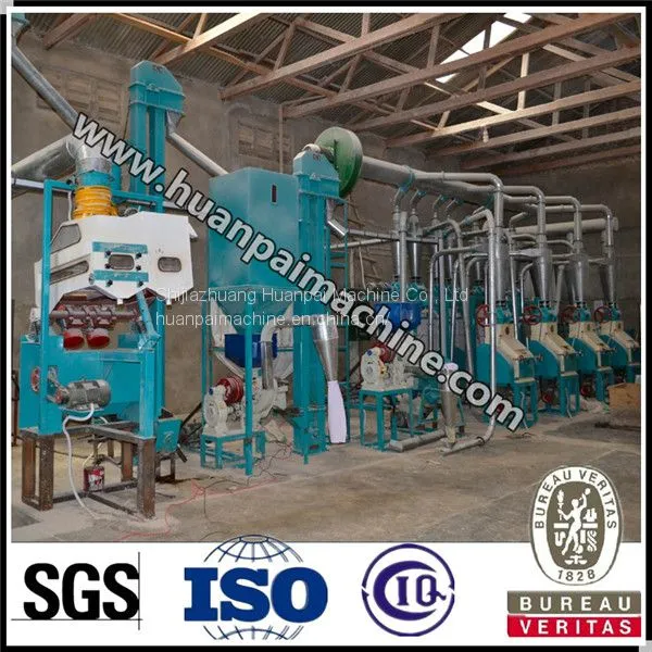 20-30TPD Wheat Flour Production Line photo-4