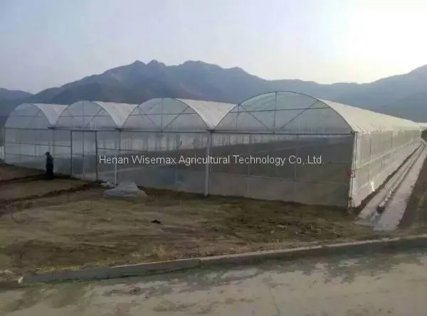 Large Size Plastic Film Multi Span Agricultural Greenhouses photo-4
