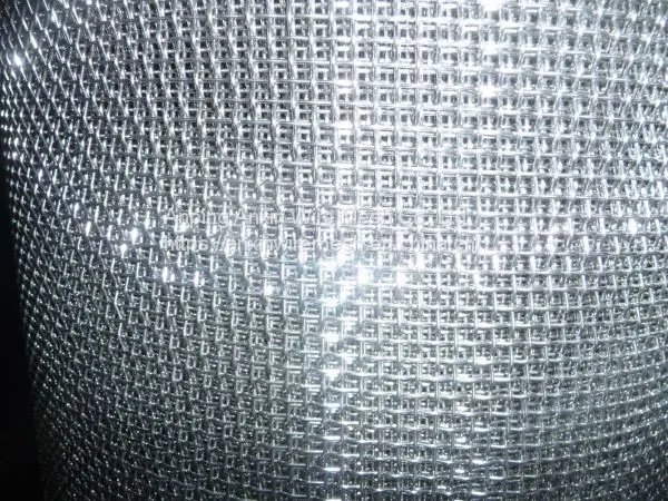 Galvanized Wire Mesh/woven Wire Mesh/welded Wire Mesh
