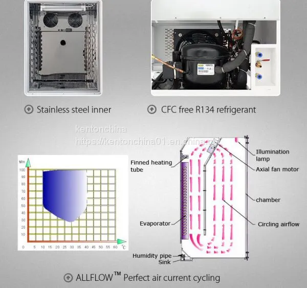 Mold Incubator Latest Price, Culture Detection Safe and Effective photo-2
