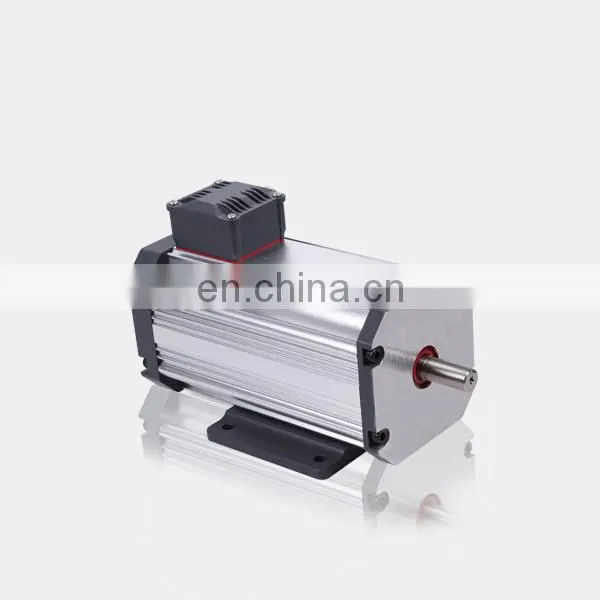 Custom 220v 2000rpm 1500w Electrical Car Brushless dc Motor photo-4
