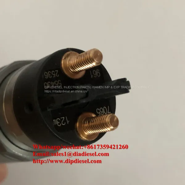 0445120123 Bosch Common Rail Injector 0 445 120 123 for Sale photo-2