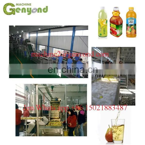Mini Fruit Juice Making Machine photo-2