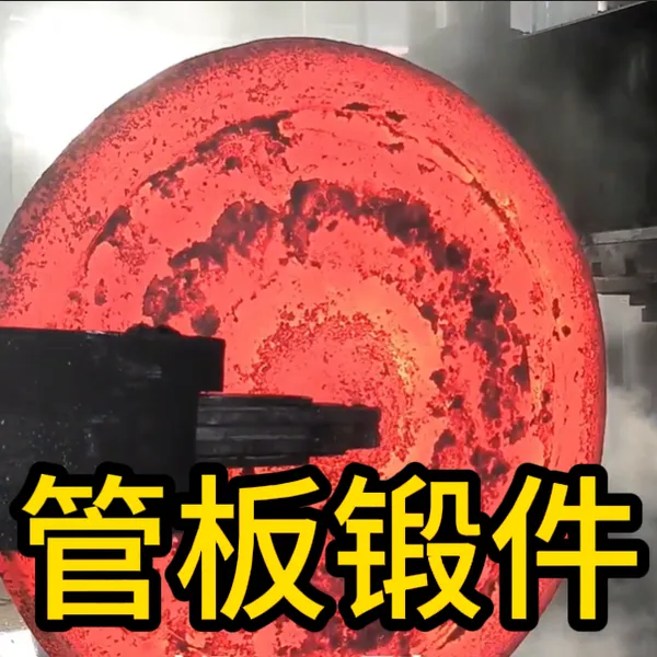 Tube Sheet Forgings | Forged Components | Factory Customization