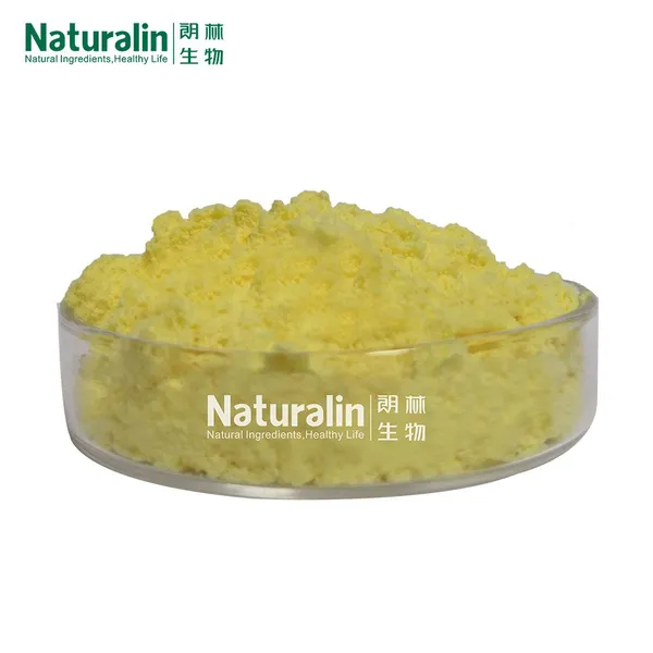 Ginger Extract photo-2