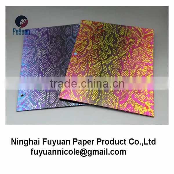 Two Pocket Paper Folder,wholesale File Folder