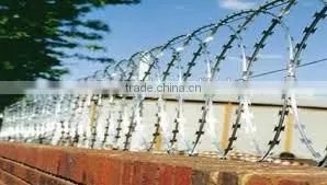 Flat Type Razor Wire photo-6