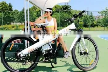Seagull,Electric Fuel and New Condition Hot Sale Lithium 36v Electric Bike photo-5