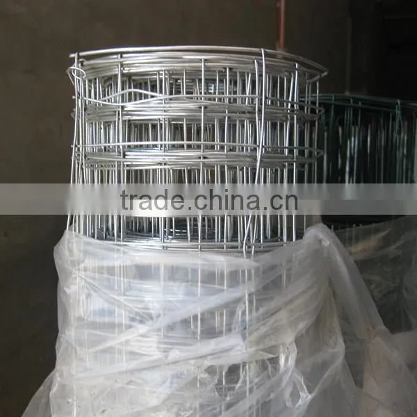 Anping Factory Sales Welded Mesh photo-4
