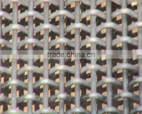 Lowest Price Standard 316 Galvanized Square Wire Mesh photo-2