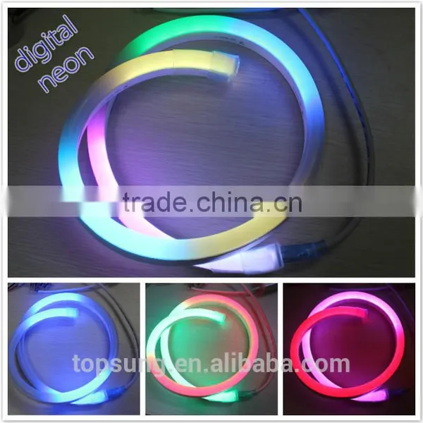 Garden Decoration 14*26mm Led Flex Neon Light for Chrismtas photo-6