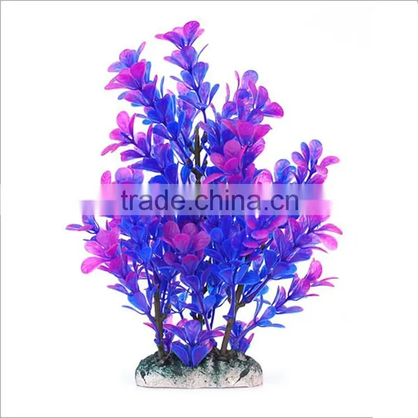 Zhongshan Maxware Wholesale Aquarium Aquatic Plants photo-6