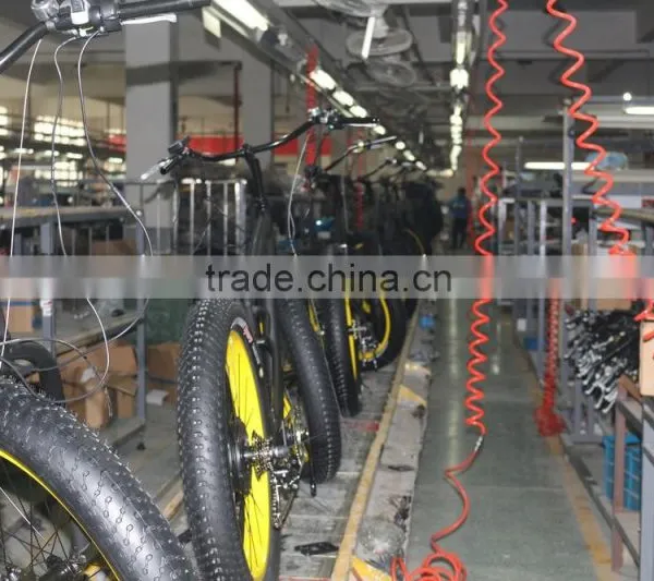 Import Chinese ce Fat Tire Electric Bike for Exercise photo-3