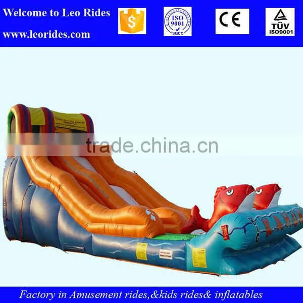 China Giant Inflatable Water Slide for Sale photo-6