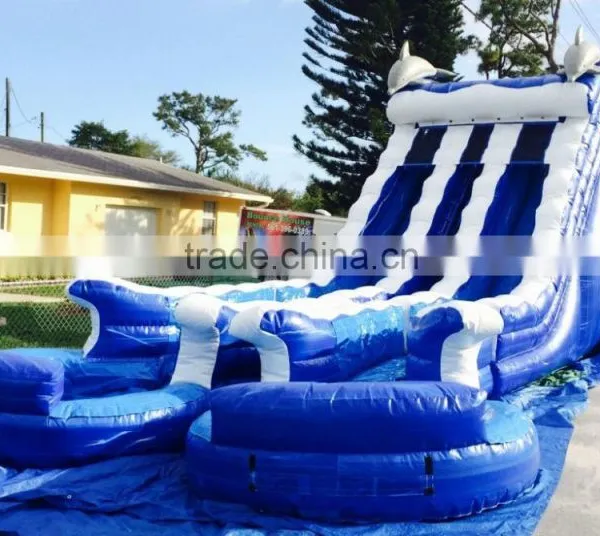 Inflatable Water Slides With 2 Pools and Two Slidings photo-2