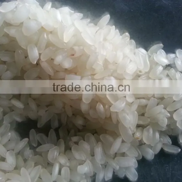 Short Grain Round Rice photo-3