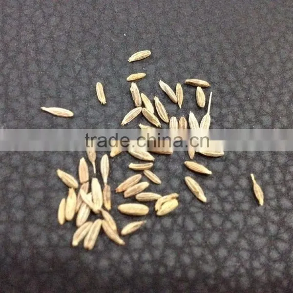 Original Cumin Seed