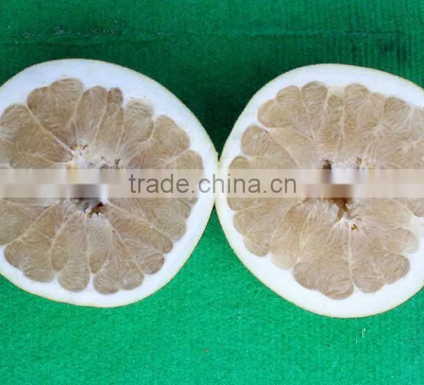 Chinese Low Price Fresh Pomelo Honey Pomelo Juicy Pomelo With High Quality photo-2