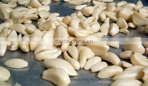 CE Approved Garlic / Small Onion / Indian Garlic Peeling Machine With New Condition photo-5